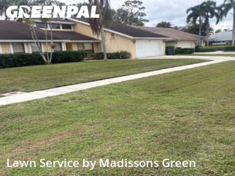 Lawn Mowing in Wellington, 33414, Lawn Services by Madissons Green, work completed in Nov , 2025