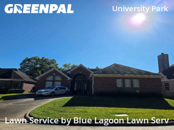 Lawn Care Servicein Katy,77450,Yard Cutting by Blue Lagoon Lawn Serv, work completed in Nov , 2025