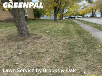 Lawn Maintenance nearby Glendale Heights, IL, 