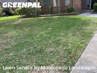 Lawn Care nearby Pearland, TX, 