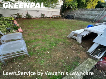Lawn Cut nearby Jersey City, NJ, 