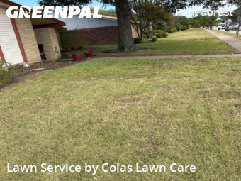 Lawn Mowing Service nearby Plano, TX, 