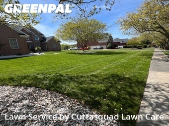 Lawn Mow nearby Virginia Beach, VA, 