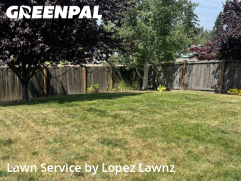 Weed Trimming in Marysville, 98270, Yard Upkeep by Lopez Lawnz, work completed in Nov , 2025