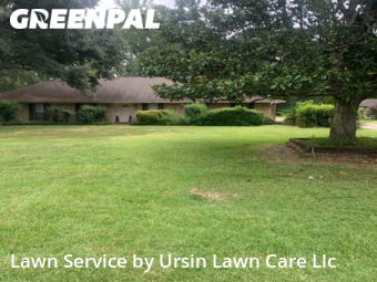 Lawn Mow nearby Central, LA, 