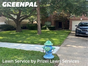 Yard Cutting nearby Pearland, TX, 