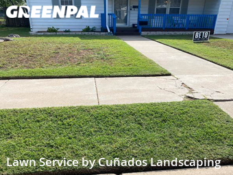 Grass Cut nearby Lubbock, TX, 