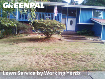 Lawn Work in Federal Way, 98003, Landscaping Maintenance by Working Yardz, work completed in Nov , 2025