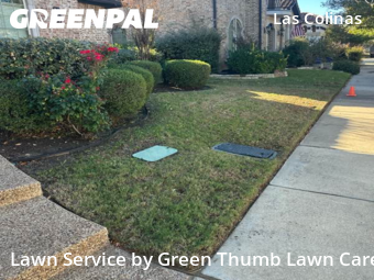 Backyard Landscaping In Irving,75039,Landscape Design by Green Thumb Lawn Care, work completed in Nov , 2025