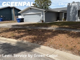 Lawn Cut nearby Tampa, FL, 