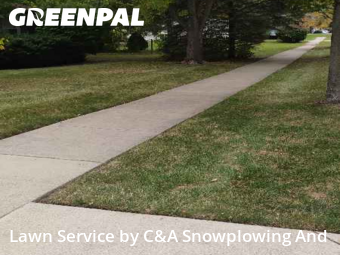 Lawn Management in Wheeling, 60090, Backyard Mowing by C&A Snowplowing And , work completed in Nov , 2025