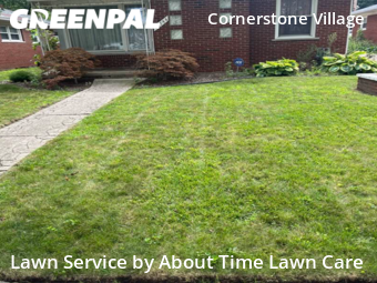 Yard Mowing nearby Detroit, MI, 