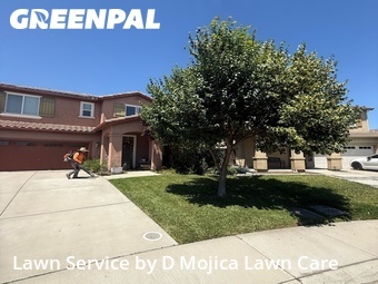 Lawn Maintenance nearby Elk Grove, CA, 