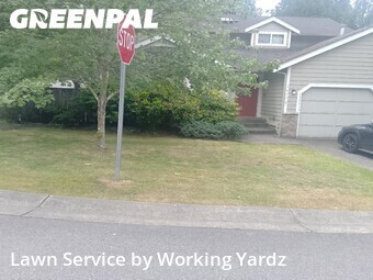 Lawn Maintenance nearby Renton, WA, 