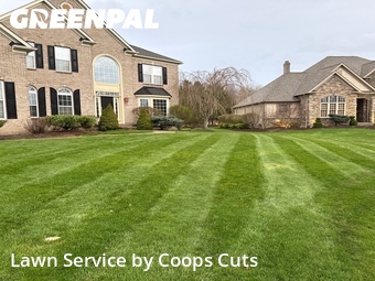 Lawn mowed in Solon, 44139