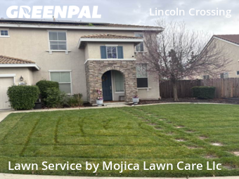 Work completed by professional-lawn-care-service-in-Lincoln-CA