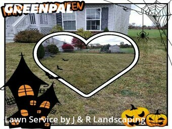 Grass Cut nearby Ypsilanti, MI, 