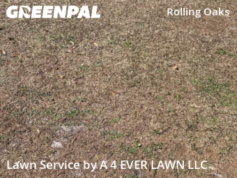 Lawn Care Service nearby Hudson, FL, 