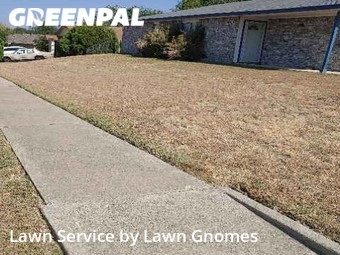 Grass Cutting nearby Killeen, TX, 