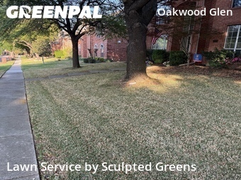 Lawn Mowing nearby Plano, TX, 