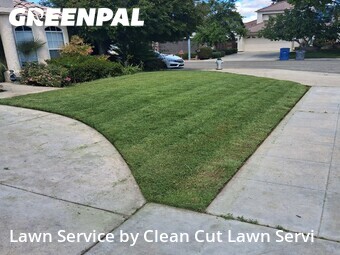 Yard Cutting nearby Fresno, CA, 