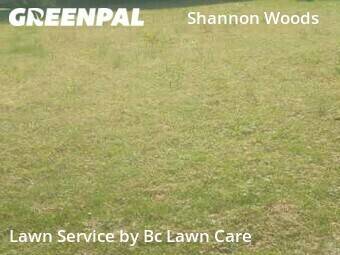 Lawn Cutting nearby Raleigh, NC, 