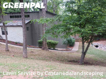 Grass Cut nearby Gainesville, GA, 