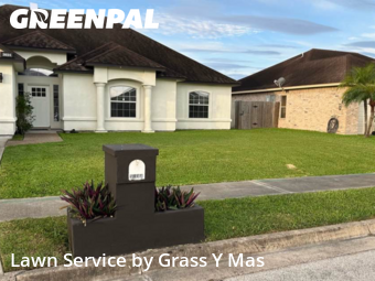 Landscaping Services In Brownsville,78526,Landscaping by Grass Y Mas , work completed in Nov , 2025