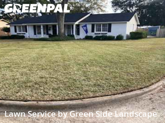 Lawn Mow nearby Albany, GA, 