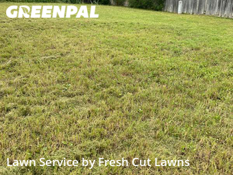 Grass Cut nearby San Antonio, TX, 