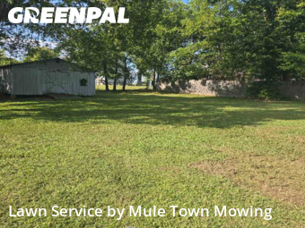 Grass Cut nearby La Vergne, TN, 