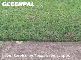 Lawn Maintenance nearby Garland, TX, 