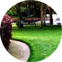 lawn-maintenance-in-Lubbock-TX