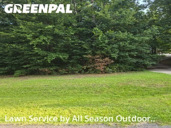 Lawn Maintenance nearby Opelika, AL, 