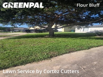Lawn Cutting nearby Corpus Christi, TX, 