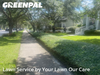 Yard Care Services in Celebration, 34747, Lawn Care by Cnp Lawn Care, work completed in Oct , 2025