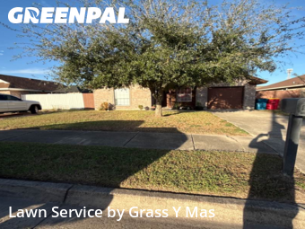 Lawn mowed in Brownsville, 78520