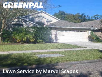 Lawn Cutting nearby Orlando, FL, 