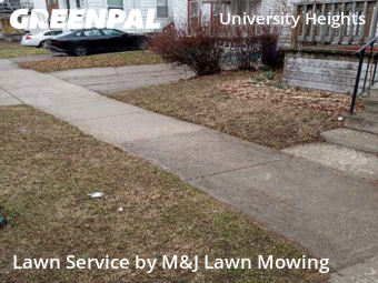 Lawn Cutting nearby Buffalo, NY, 