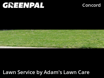 Lawn Maintenance nearby St. Louis, MO, 
