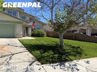 Yard Cutting nearby Lancaster, CA, 