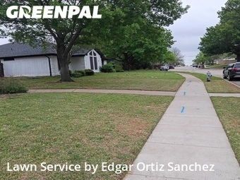 Lawn Cut nearby Wylie, TX, 