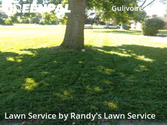 Lawn Mow nearby South Bend, IN, 