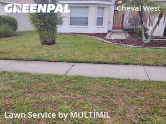 Lawn Maintenance nearby Lutz, FL, 