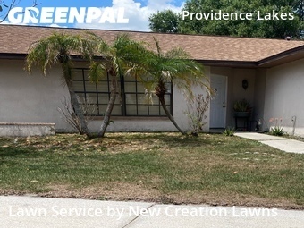 Lawn Cut nearby Brandon, FL, 