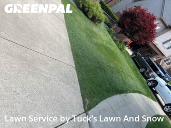Yard Care Services in Northville, 48168, Yard Upkeep by Tuck’s Lawn And Snow, work completed in Oct , 2025