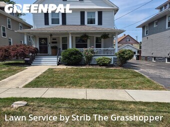 Grass Cutting nearby Lakewood, OH, 