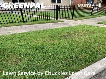 Yard Mowing nearby Jacksonville, FL, 