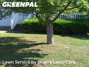 Lawn Care Service nearby Raleigh, NC, 