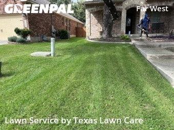 Grass Cut nearby San Antonio, TX, 